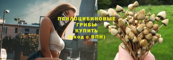 винт Новозыбков