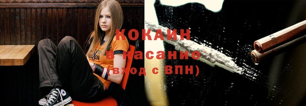 мяу мяу мука Новодвинск