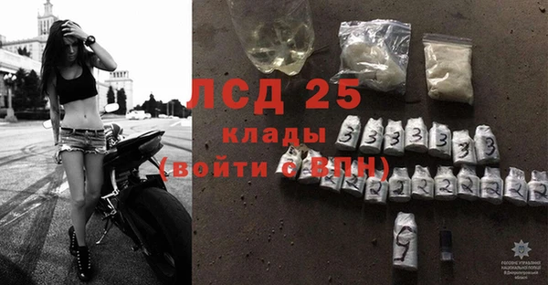 винт Новозыбков