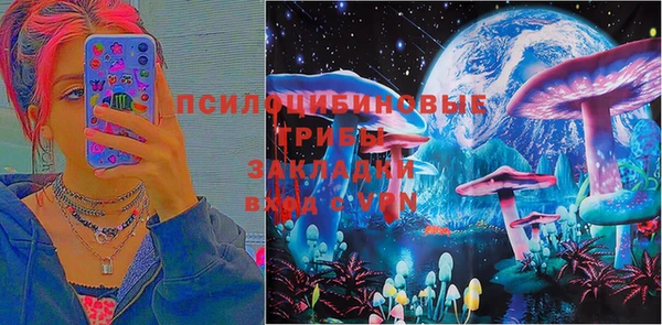 мяу мяу мука Новодвинск