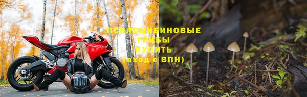 винт Новозыбков
