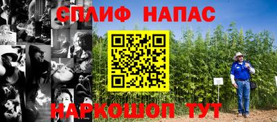 соль ск Гатчина