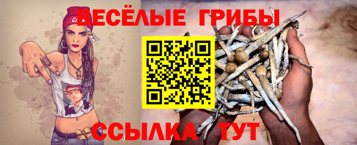 Семилуки  Галлюциногенные грибы мицелий  Галлюциногенные грибы GOLDEN TEACHER  Вход с VPN 