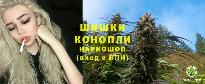 Шишки марихуана OG Kush  Семилуки 